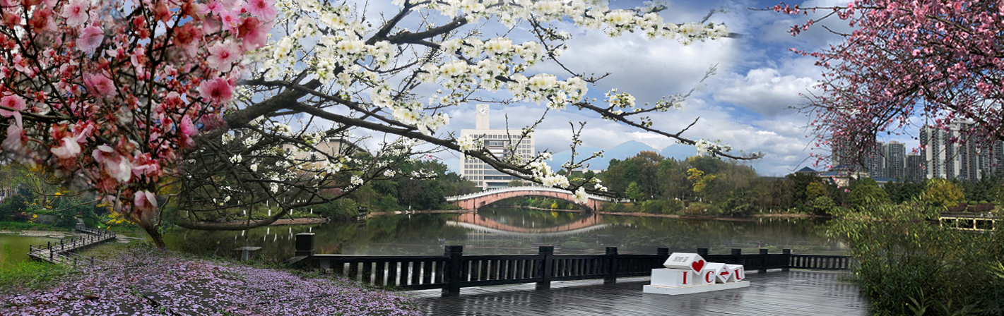 校園空調(diào)智能集中控制項(xiàng)目重慶師范大學(xué)